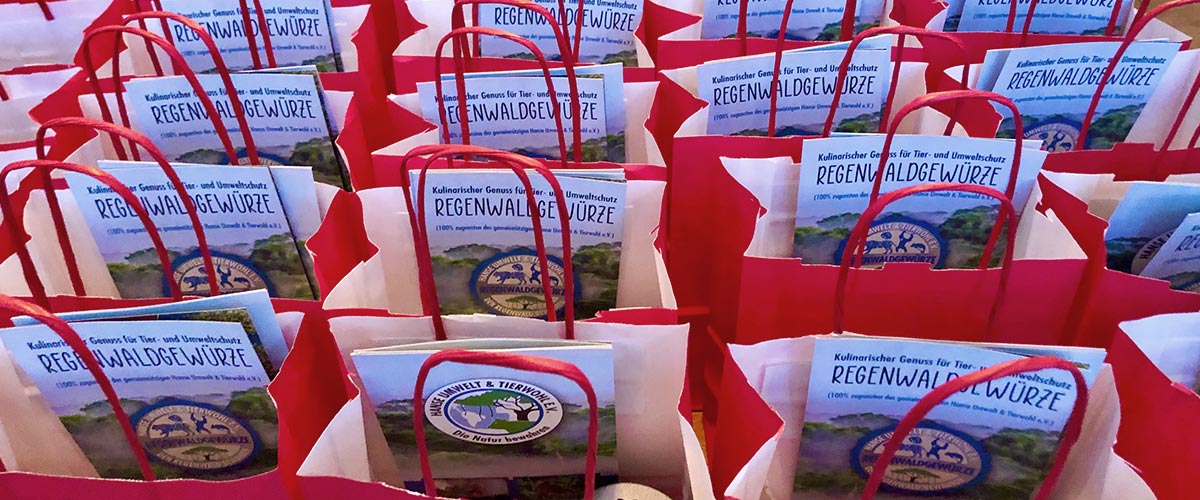 Sinn schenken – in einer Zeit, in der vieles sinnlos erscheint.